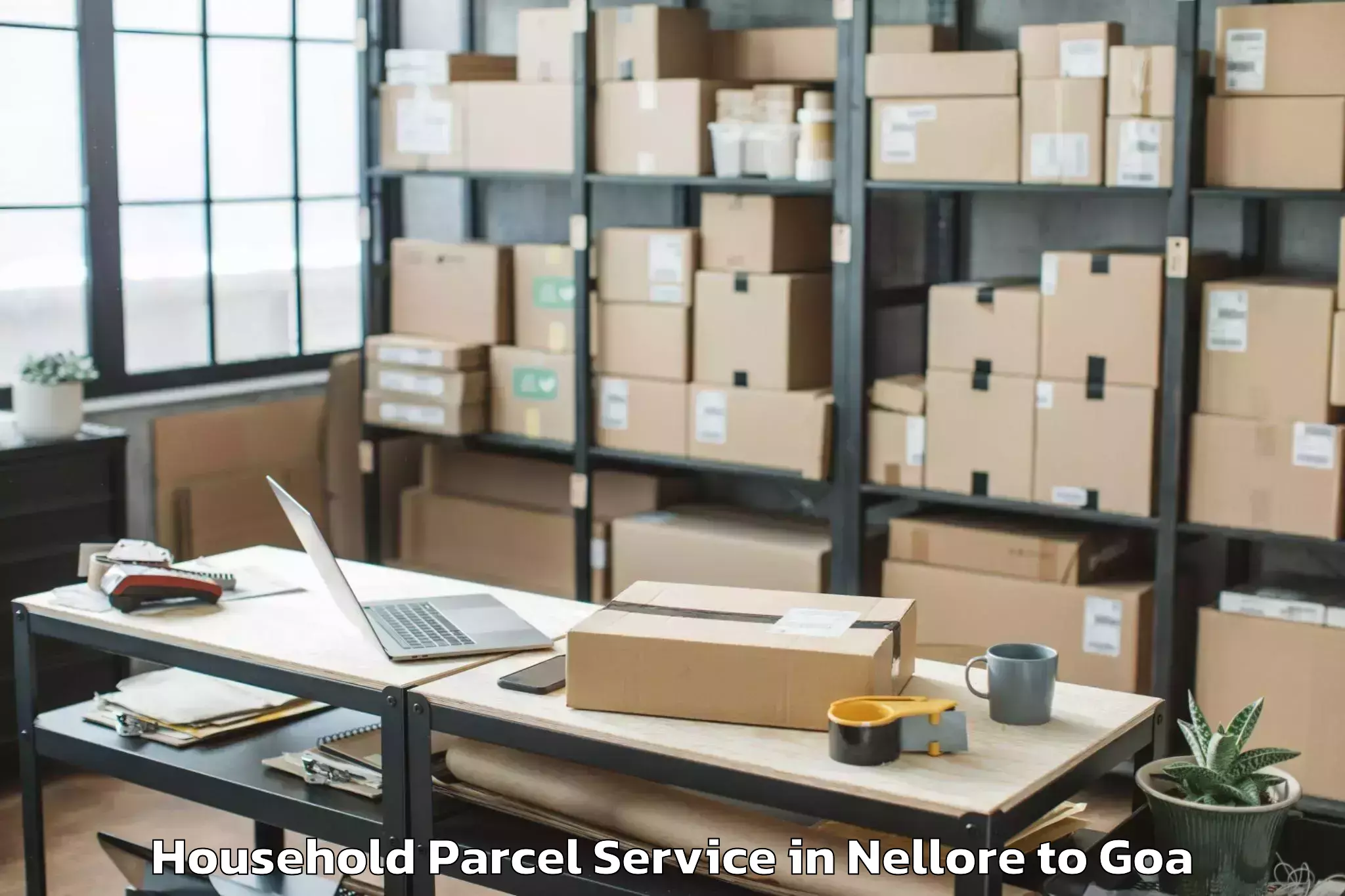 Book Nellore to Mopa Household Parcel Online